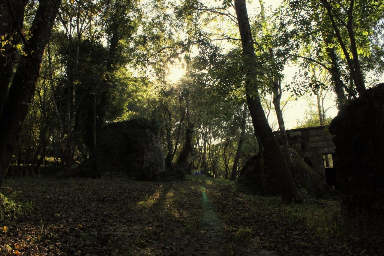 5ª D'Azenha - River And Nature Amarante Exterior photo